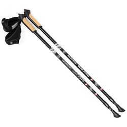 Kijki Nordic Walking regulowane SMJ Sport Long Life 