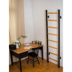 Drabinka gimnastyczna BenchK200B Series 2