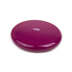 Tiguar dysk (air disc) - śliwka