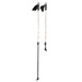 Kije nordic walking carbon NW106 NILS EXTREME