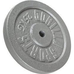 25 kg Obciążenie żeliwne