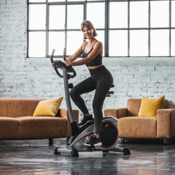 Rower Christopeit AL1 srebrny