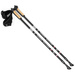 Kijki Nordic Walking regulowane SMJ Sport Long Life 