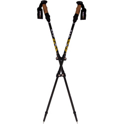 Kije Nordic walking w pokrowcu EVO Enero Pro czarny mat
