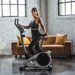 Rower Christopeit AL1 srebrny