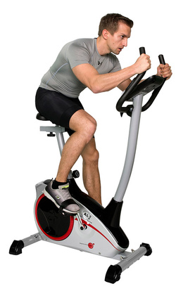 Rower Christopeit AL2 srebrny