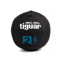 tiguar wallball 2 kg