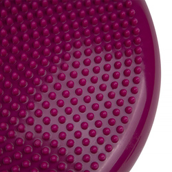 Tiguar dysk (air disc) - śliwka