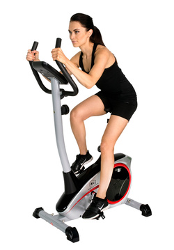 Rower Christopeit AL1 srebrny