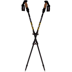 Kije Nordic walking w pokrowcu EVO Enero Pro czarny mat
