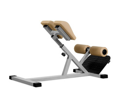 Ławka na mięśnie grzbietu MASTER-SPORT JP-22/P