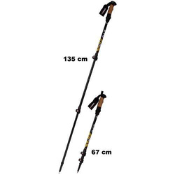 Kije Nordic walking w pokrowcu EVO Enero Pro czarny mat