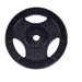 Obciążenie żeliwne typu Gripper 10kg, czarne