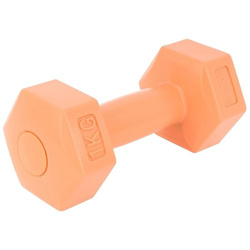 Zestaw Hantli Kompozytowych 2x1 kg Eb Fit