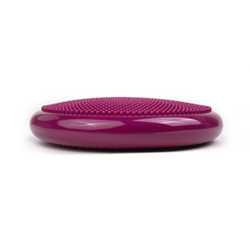 Tiguar dysk (air disc) - śliwka