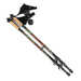 Kijki trekkingowe Nordic Walking SMJ Sport Gemena 110-135cm 