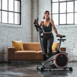 Rower Christopeit AL1 srebrny