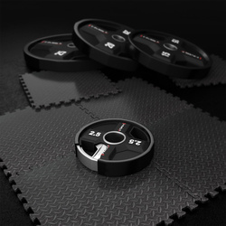 TPC02 TALERZ OLIMPIJSKI POLIURETANOWY CPU 2.5 KG HMS