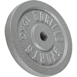 10 kg Obciążenie żeliwne