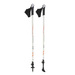 Kije nordic walking carbon NW106 NILS EXTREME