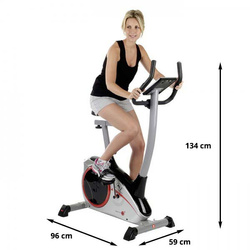 Rower Christopeit AL2 srebrny