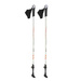 Kije nordic walking carbon NW106 NILS EXTREME