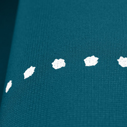 Tiguar yoga basis mata do jogi - morska