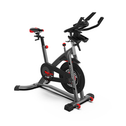 SCHWINN ROWER SPINNINGOWY IC8