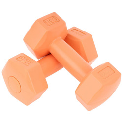 Zestaw Hantli Kompozytowych 2x1 kg Eb Fit